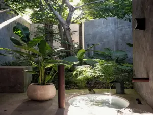 바시코 픽소이 호텔