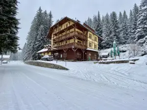 Hotel Modrava