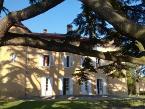 Château la Violette