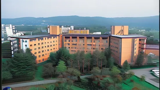 Hotel Daiheigen