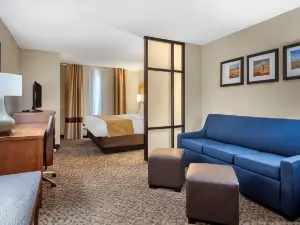 Comfort Suites Manhattan