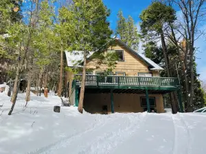 Sequoia Forest Cabin—Lake & River—Ski, Raft, Hike, Bike and More