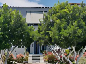 Guesthouse Anila