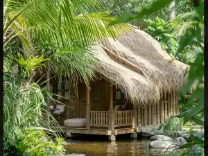The Seed Bali