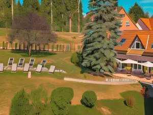 Hotel Spa et Restaurant Au Chasseur