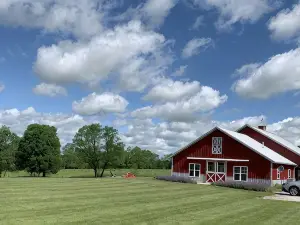 The Barn at Deva's Farm: Haute Blue Grass - Chill Retreat in the countryside
