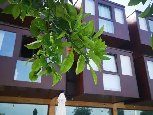 Hotel Herbeira