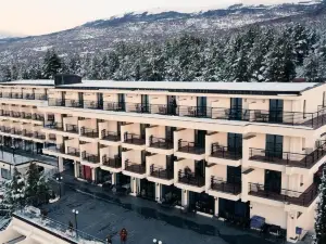 Inex Olgica Hotel & Spa