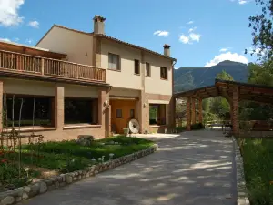 Molí del Casó B&B