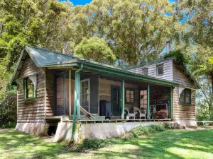 The Fernery at Red Dog Retreat