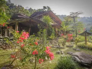 Back to Nature Ecotourism