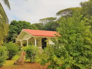 ฮัวฮิเน - ทิปานิเยร์ เฮาส์
