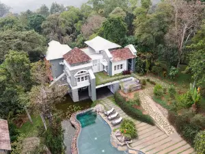 スパイスツリー ラジャクマリ