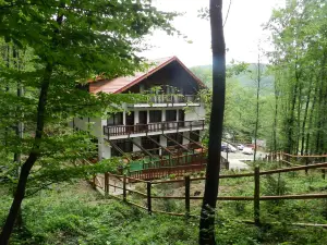 Pensiunea Stejarul