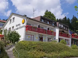 索奈飯店