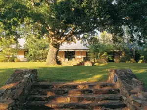 Flowerdale Estate