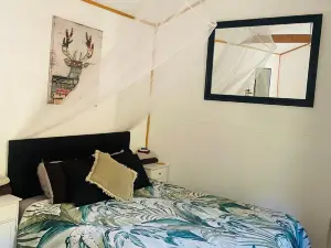The Kauri Tree Pod - Off Grid Experience