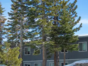 Tahoe Trail Resort