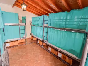 Arena Nest Hostel