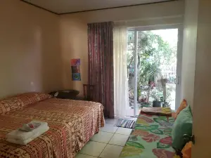 Private Room in Our Home Stay by Kohutahia Lodge, 7 Min by Car to Airport and Town