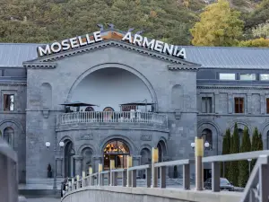 Moselle Armenia Wellness & Medical Spa Jermuk