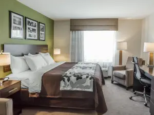 Sleep Inn & Suites Dayton South