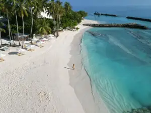 比比沖浪