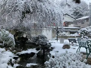 Guest House Sakura - Vacation Stay 57751V