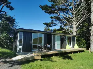 Waihi Gold Alpacas 1 or 2 People