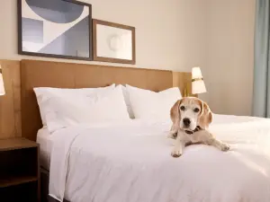 스테이브리지 스위트 뉴캐슬 바이 IHG