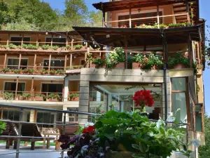 Hotel Saint Nedelya