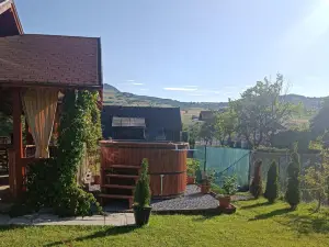 Nárcisz B&B