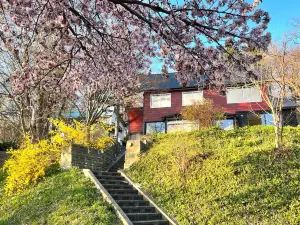Mountain View Totoro Villa