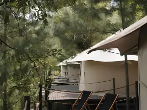 RINDANG Glamping