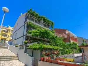 Apartments Brana