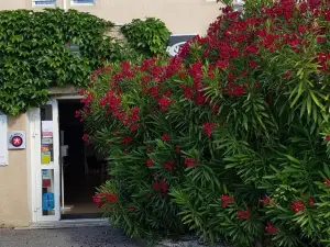 The Originals City, Hôtel Valence Est