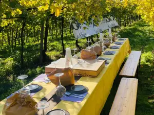 B&B Le Albare