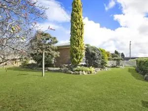 The Scotty House - EV and Pet Friendly