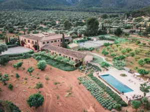 Finca Es Cabàs