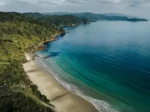 Hananui PurePod