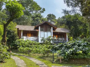 Vythiri Mist Resort