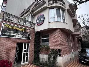 Hotel Millennium