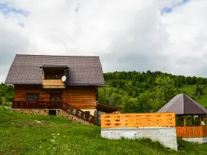 Cabana Ioana
