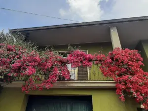 Sa Prenda E Oro