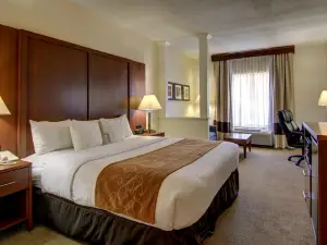 Comfort Suites Cumming-Atlanta Near Northside Hospital Forsyth
