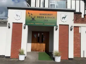 Ashhurst Deer N Duck Inn