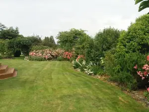 Kaimai Sunset Bed & Breakfast