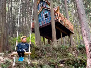 Mieux forest