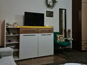 Cozy 1 bedroom apartment, AC, private parking, kitchenette, bathroom, etc