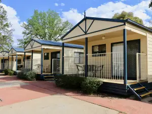 Young Caravan and Tourist Park